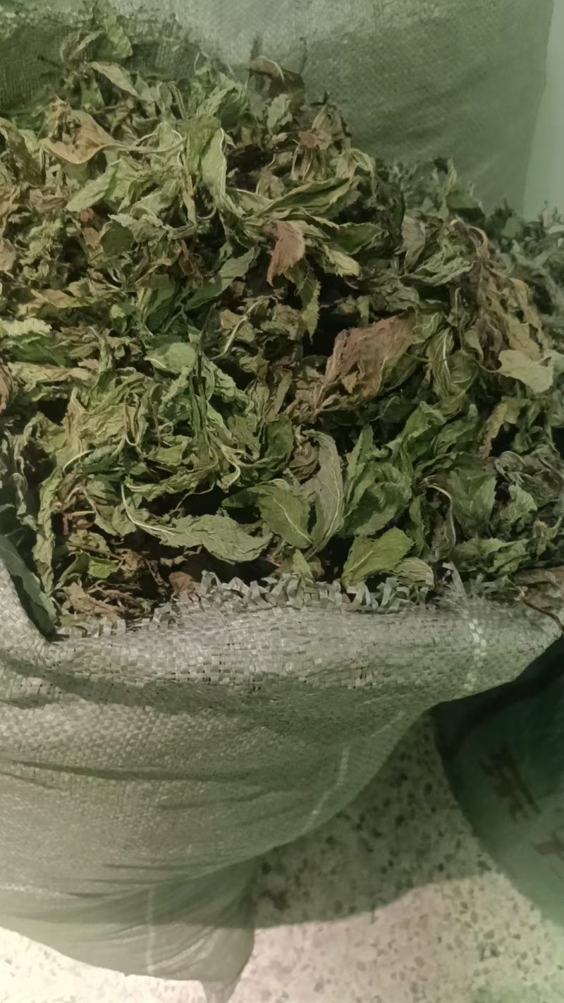 干薄荷