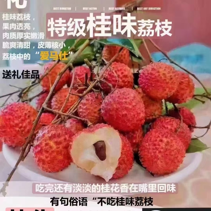 正宗从化桂味，糯米糍荔枝，个大饱满，果肉厚实，核小多汁，