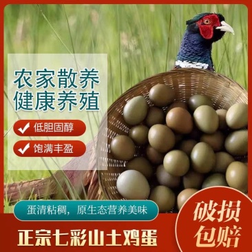 农家散养土鸡蛋乌鸡蛋新鲜正宗天然鸡蛋混合装当天草鸡蛋
