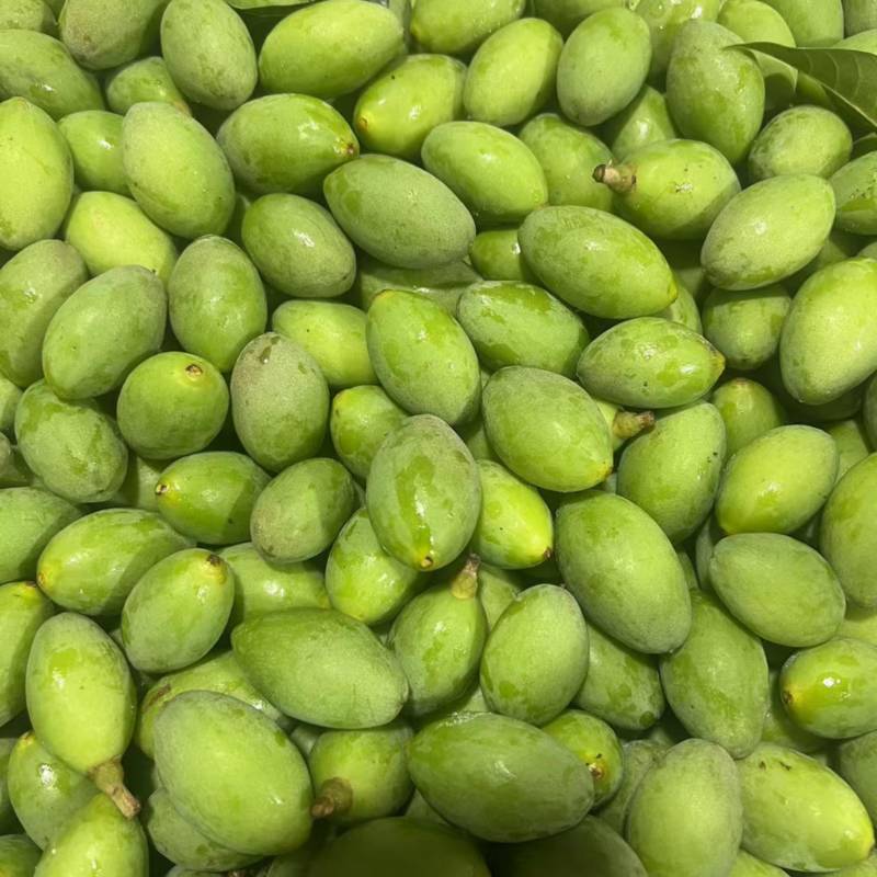 2025鲜摘甜橄榄二号橄榄甜种橄榄香种橄榄香脆橄榄5