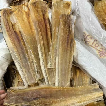 鱼唇干货鱼皮鲨鱼皮富含胶原蛋白煲汤海味干货酒店食材