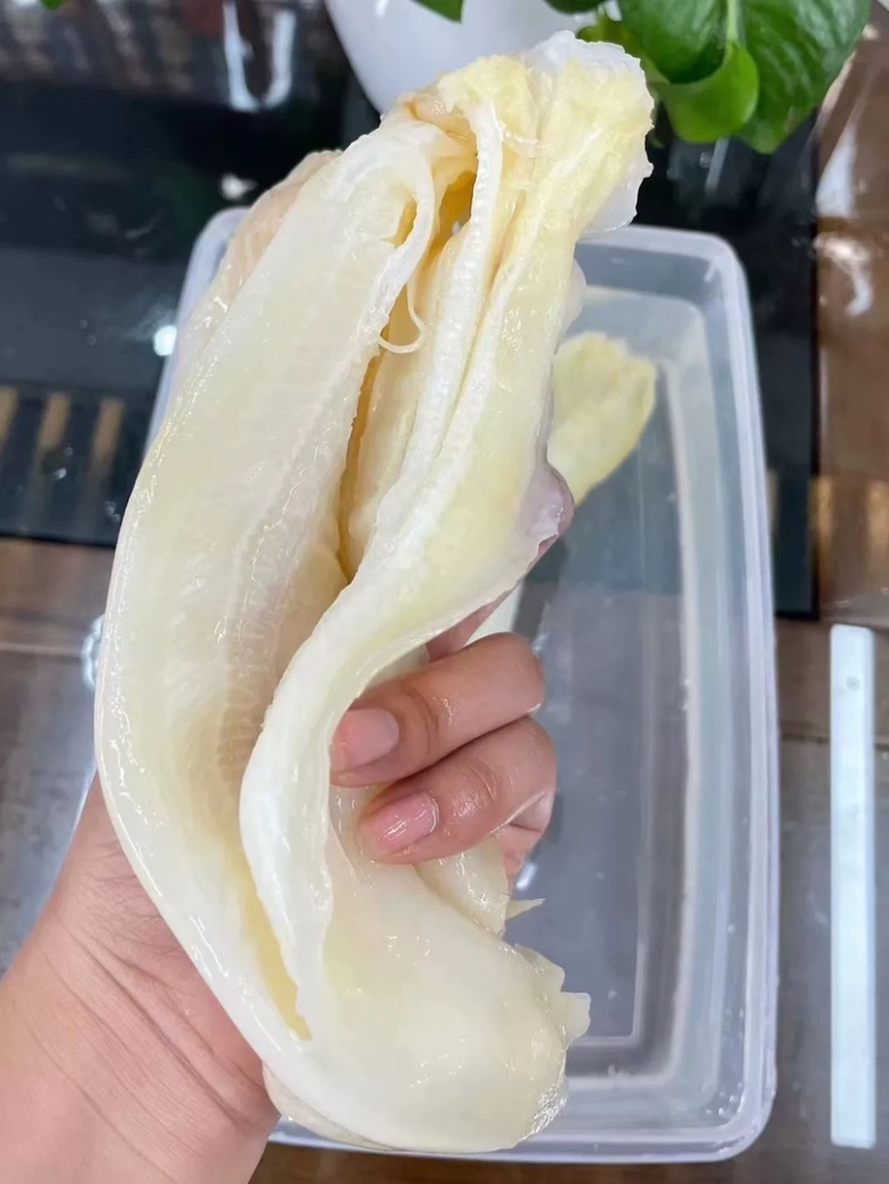 鱼唇干货鱼皮鲨鱼皮富含胶原蛋白煲汤海味干货酒店食材