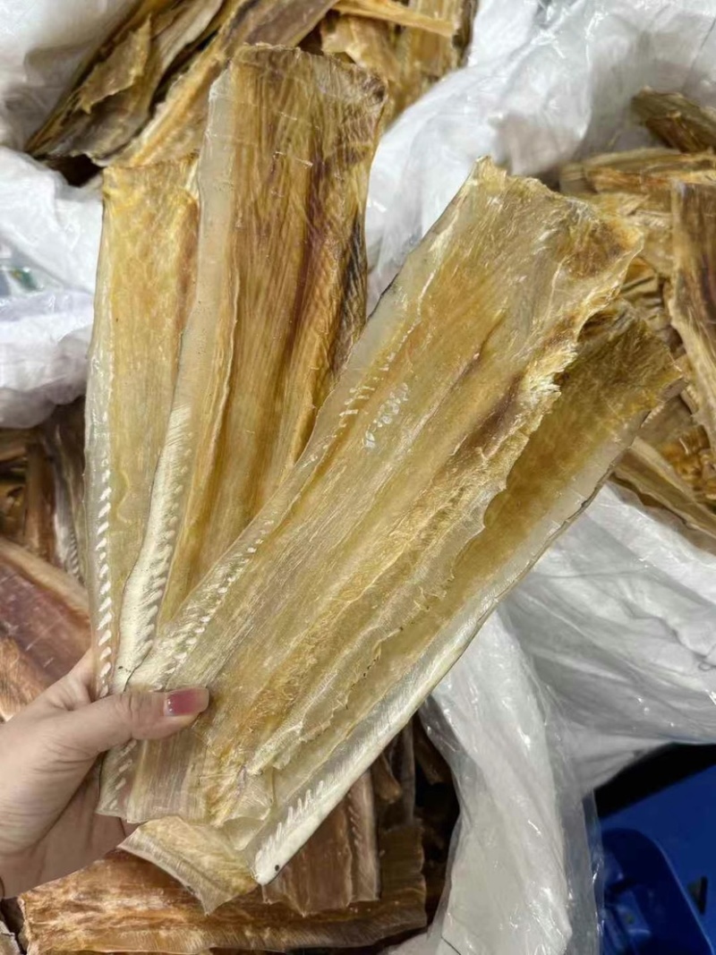 鱼唇干货鱼皮鲨鱼皮富含胶原蛋白煲汤海味干货酒店食材