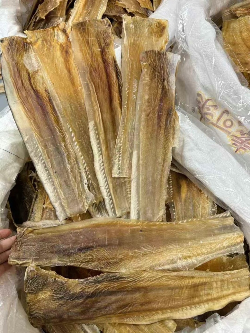 鱼唇干货鱼皮鲨鱼皮富含胶原蛋白煲汤海味干货酒店食材