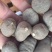 三叶青干货，鲜货，一手货源，量大从优，欢迎采购。