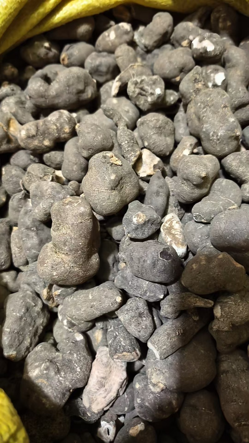 三叶青干货，鲜货，一手货源，量大从优，欢迎采购。