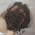 健胃豆，牛羊专用饲料，厂家直售！需要的老板迅速联系！