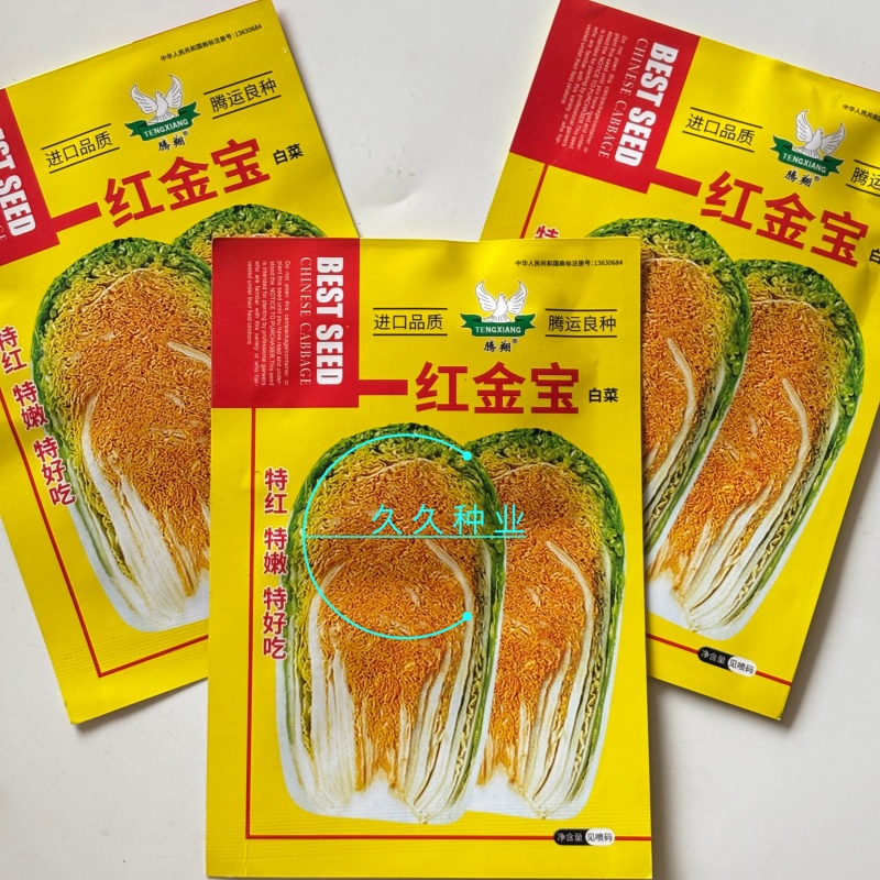 红金宝红芯大白菜种子口感好鲜嫩红芯高产抗病商品性佳