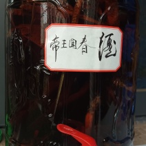 帝王回春酒药酒滋补酒全中药材泡制欢迎咨询