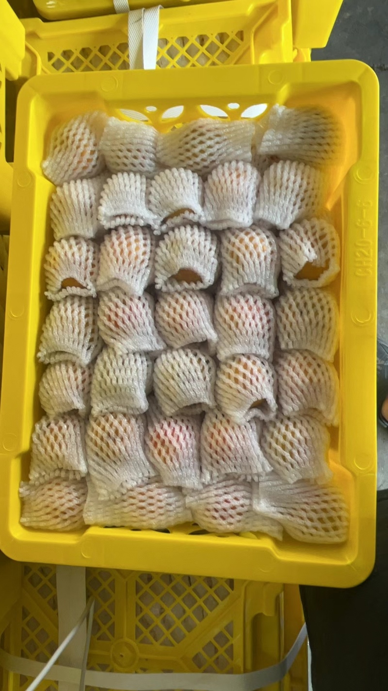 新疆小红杏吊干杏一件代发，品质保证，有量谈价，对接各平台