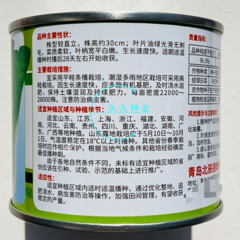 绿浪快菜种子直立生长速度快四季可播种菜质柔软奶油快菜