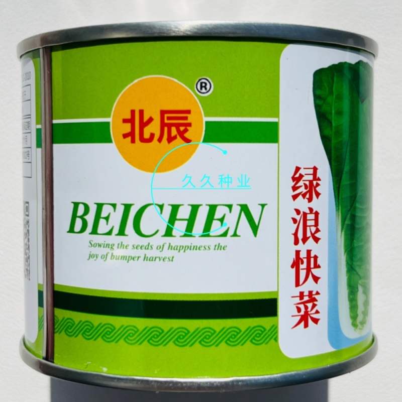 绿浪快菜种子直立生长速度快四季可播种菜质柔软奶油快菜