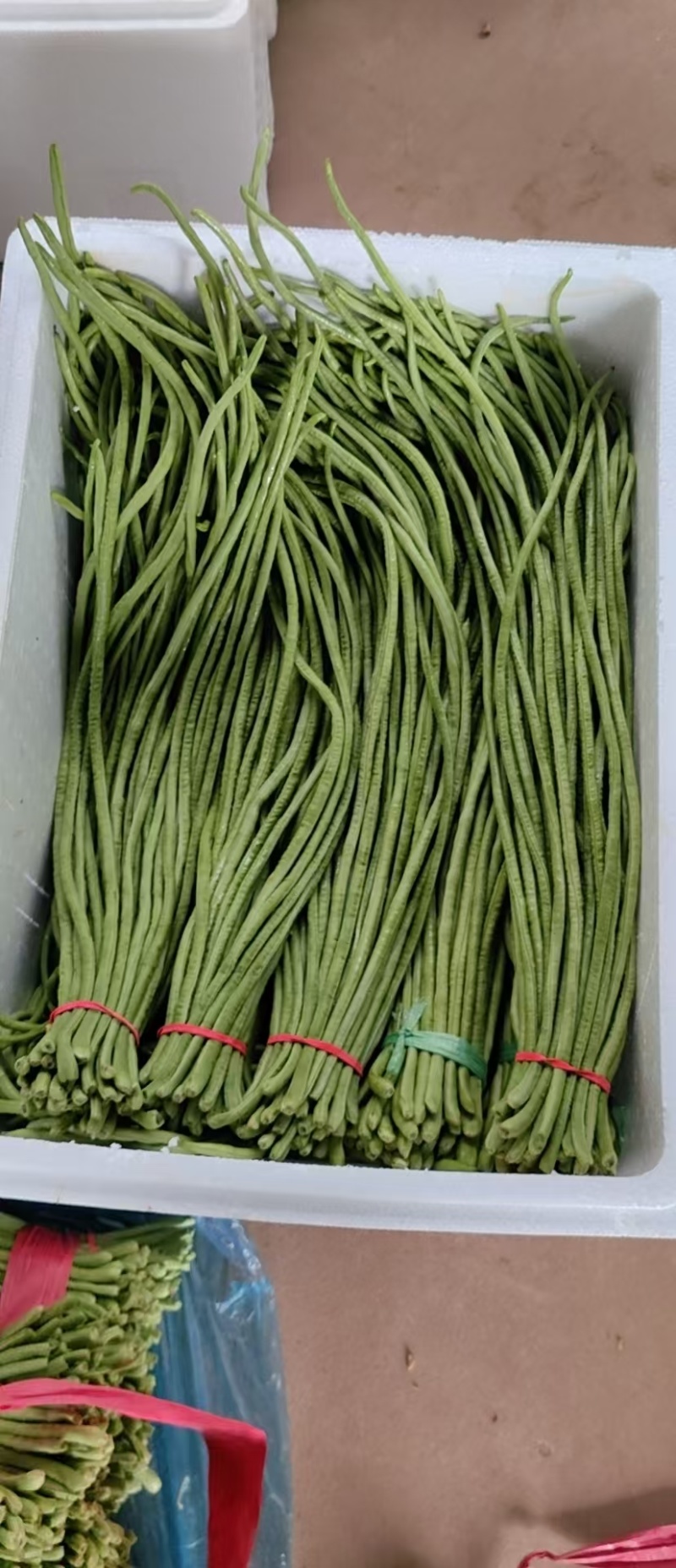 豆角，河北长豆角，质量从优，全国代发，需要的老板与我联系