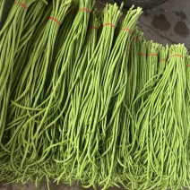 豆角，河北长豆角，质量从优，全国代发，需要的老板与我联系