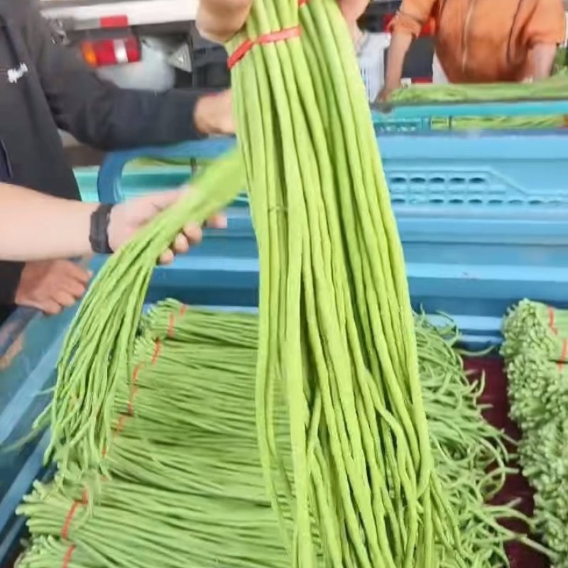 长豆角