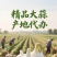 邳州大蒜精品大蒜高质量大蒜各种规格大蒜产区产地代办直发