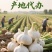 邳州大蒜精品大蒜高质量大蒜各种规格大蒜产区产地代办直发