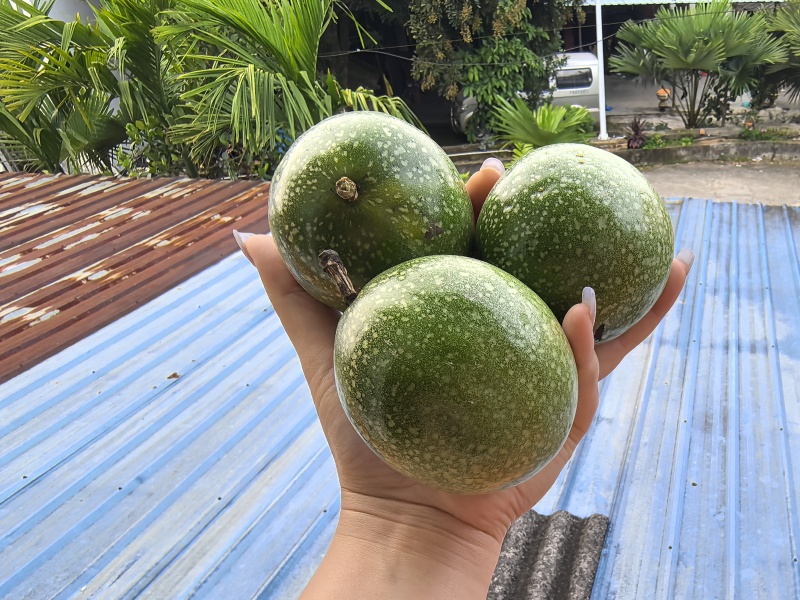 钦蜜百香果
