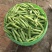 吉林公主岭豌豆大量上市，质量好，欢迎采购！