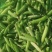 吉林公主岭豌豆大量上市，质量好，欢迎采购！