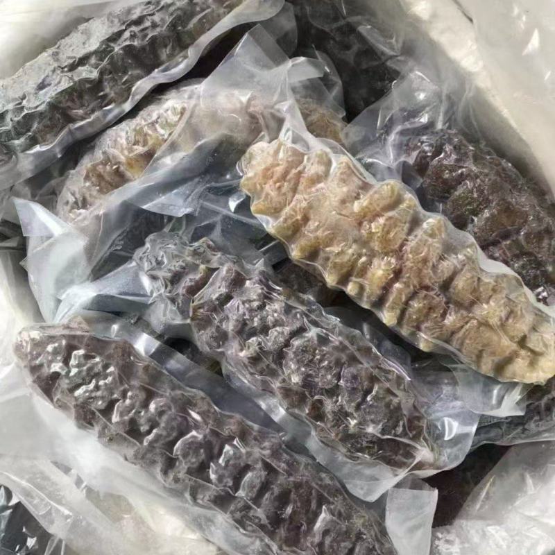 冷冻螺纹参整箱批发产地直发肉质紧实酒店家用煲汤烹饪
