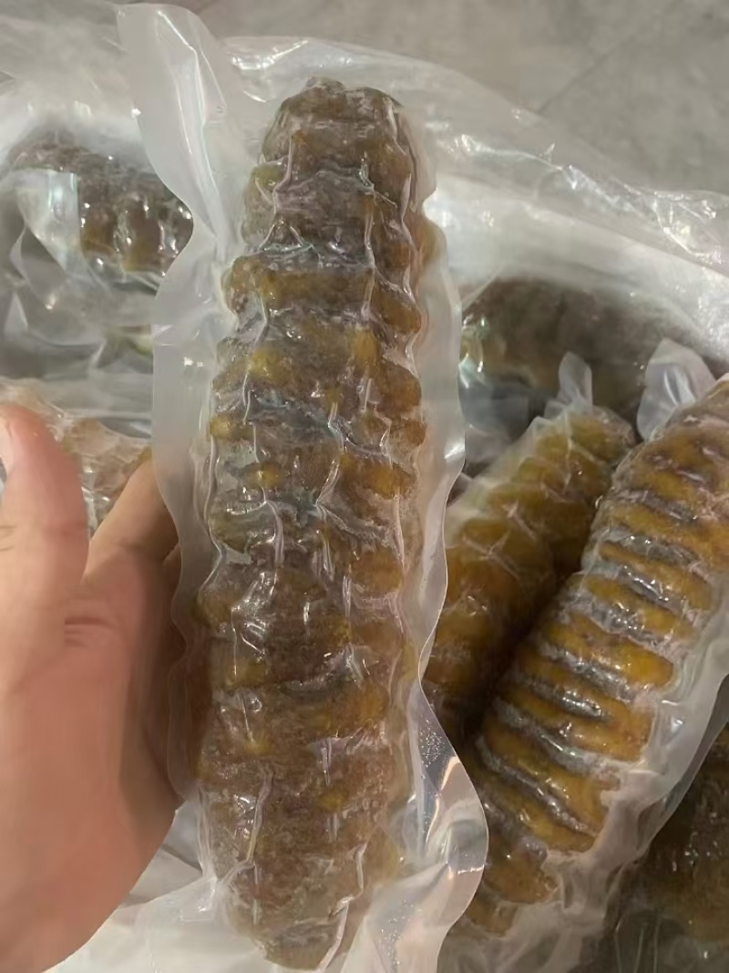 冷冻螺纹参整箱批发产地直发肉质紧实酒店家用煲汤烹饪