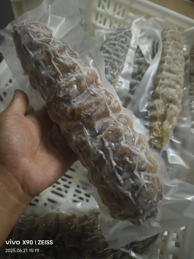 冷冻螺纹参整箱批发产地直发肉质紧实酒店家用煲汤烹饪