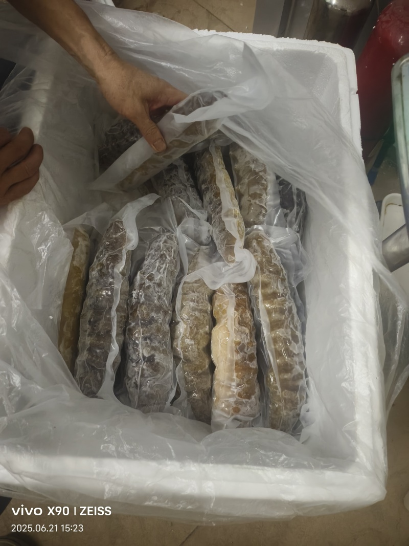 冷冻螺纹参整箱批发产地直发肉质紧实酒店家用煲汤烹饪