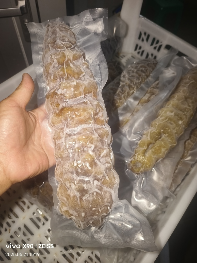 冷冻螺纹参整箱批发产地直发肉质紧实酒店家用煲汤烹饪