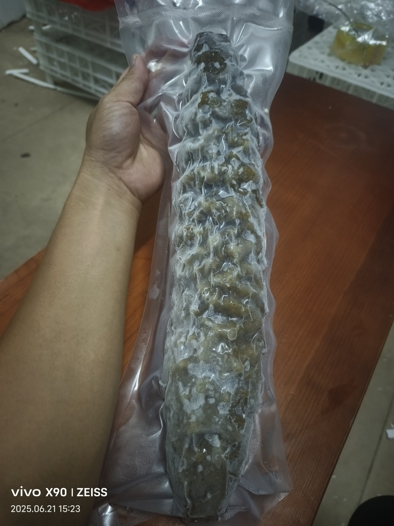 冷冻螺纹参整箱批发产地直发肉质紧实酒店家用煲汤烹饪