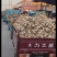 辫子蒜，蒜种，东北独头蒜栽子，蒜黄料
