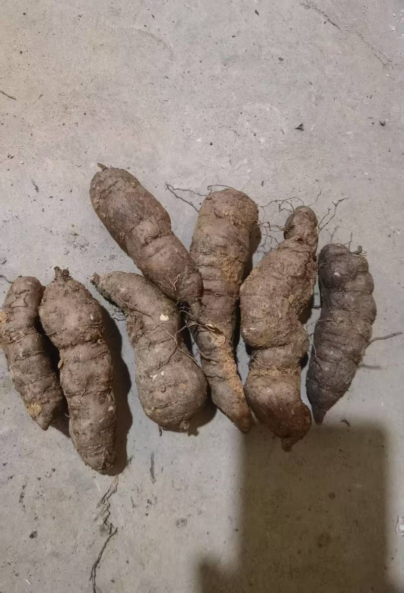贵州三叶青鲜果，无硫全干净货，产地直发规格齐全，欢迎来电