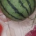 原秧西瓜