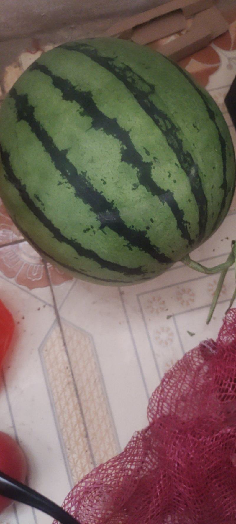 原秧西瓜