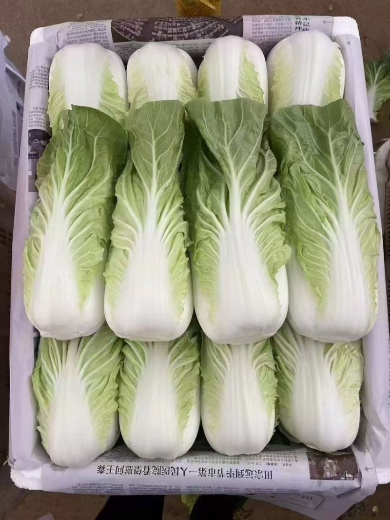 云南精品黄白
