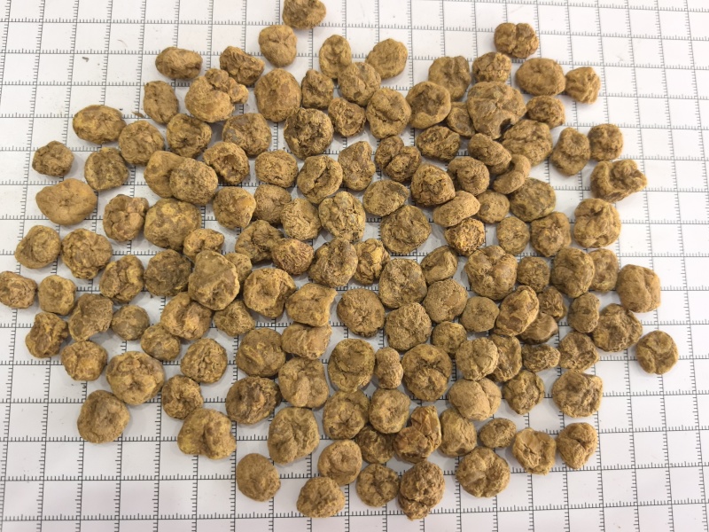 元胡中药材延胡索元胡颗粒玄胡新货产地货源