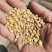 碎黄豆，上地，养殖，榨油，压饼，长期供应