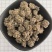 猫爪草猫抓草中药材猫爪草大量现货产地货源