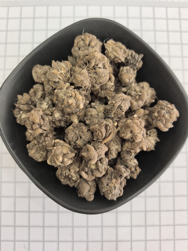 猫爪草猫抓草中药材猫爪草大量现货产地货源