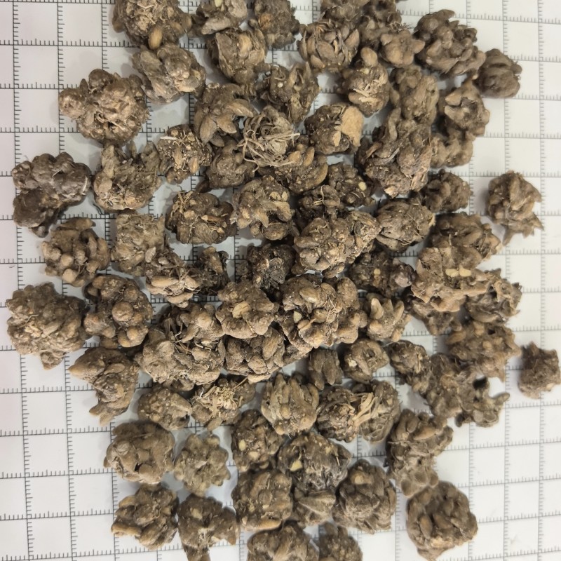 猫爪草猫抓草中药材猫爪草大量现货产地货源