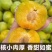 正宗贵州镇宁六马蜂糖李脱骨脆甜大果礼盒装现摘现发电商一件代发