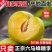 正宗贵州镇宁六马蜂糖李脱骨脆甜大果礼盒装现摘现发电商一件代发