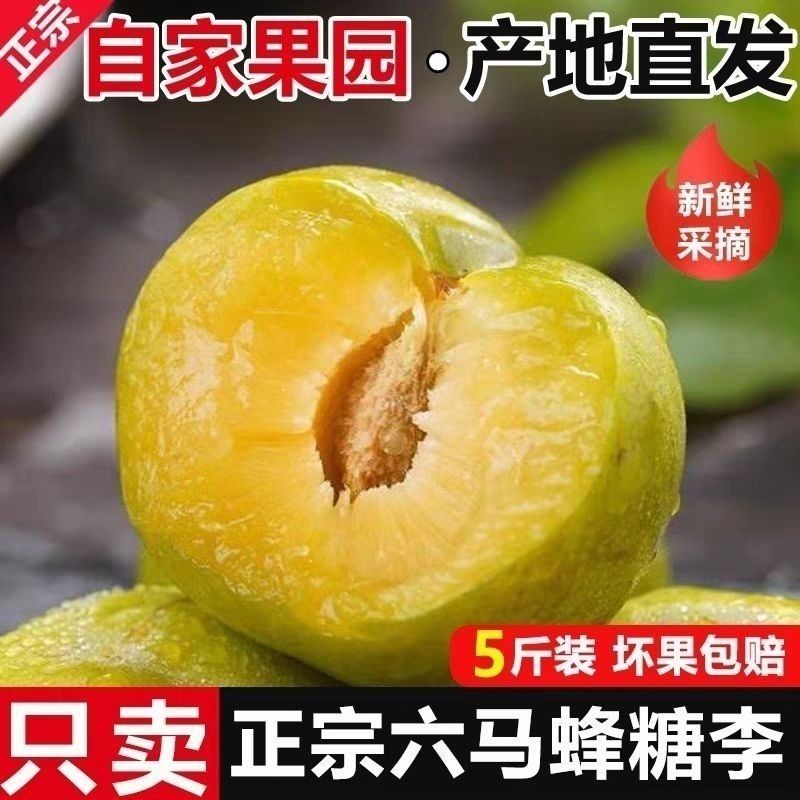 正宗贵州镇宁六马蜂糖李脱骨脆甜大果礼盒装现摘现发电商一件代发