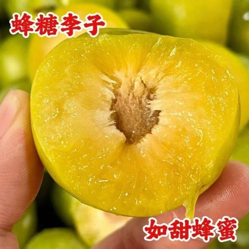 正宗贵州镇宁六马蜂糖李脱骨脆甜大果礼盒装现摘现发电商一件代发