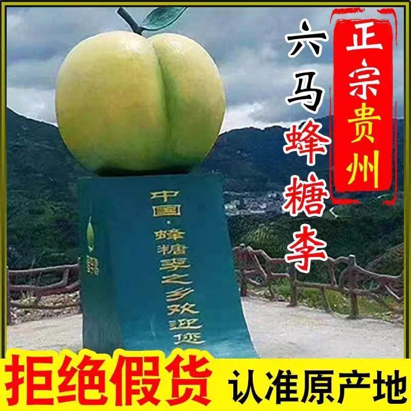 正宗贵州镇宁六马蜂糖李脱骨脆甜大果礼盒装现摘现发电商一件代发