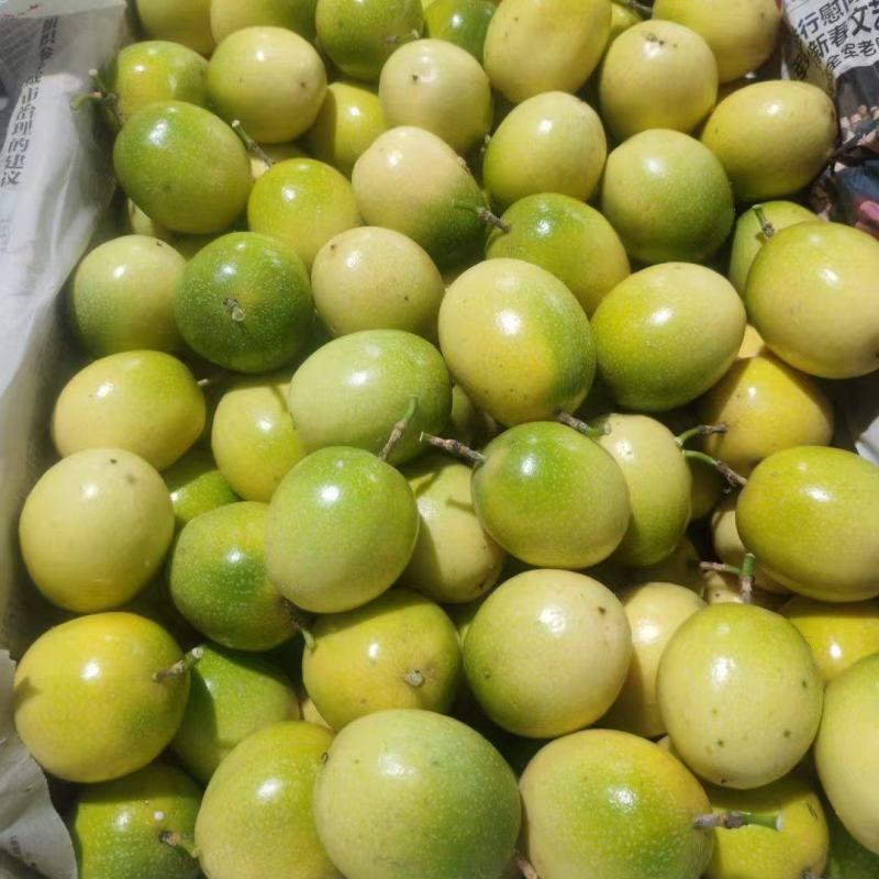 黄金百香果