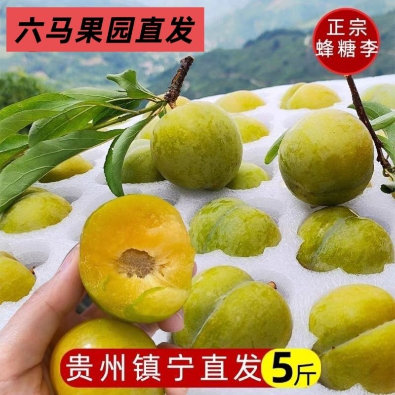 正宗贵州镇宁六马蜂糖李脱骨脆甜大果礼盒装现摘现发电商一件代发