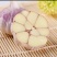 平邑大蒜通货