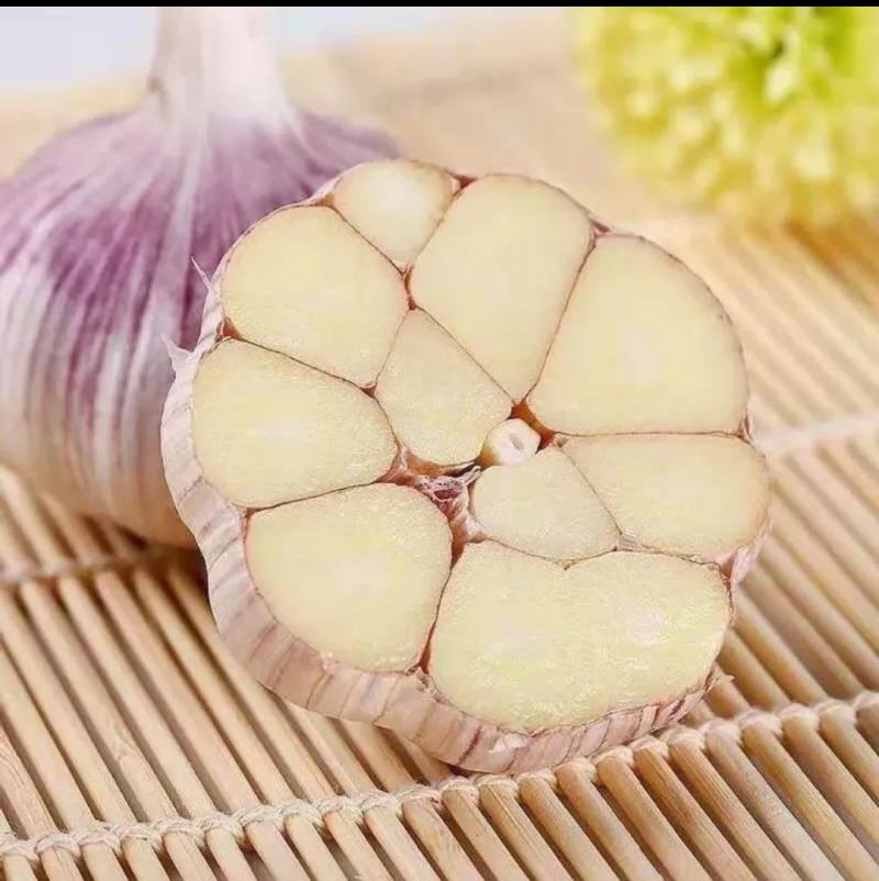 平邑大蒜通货