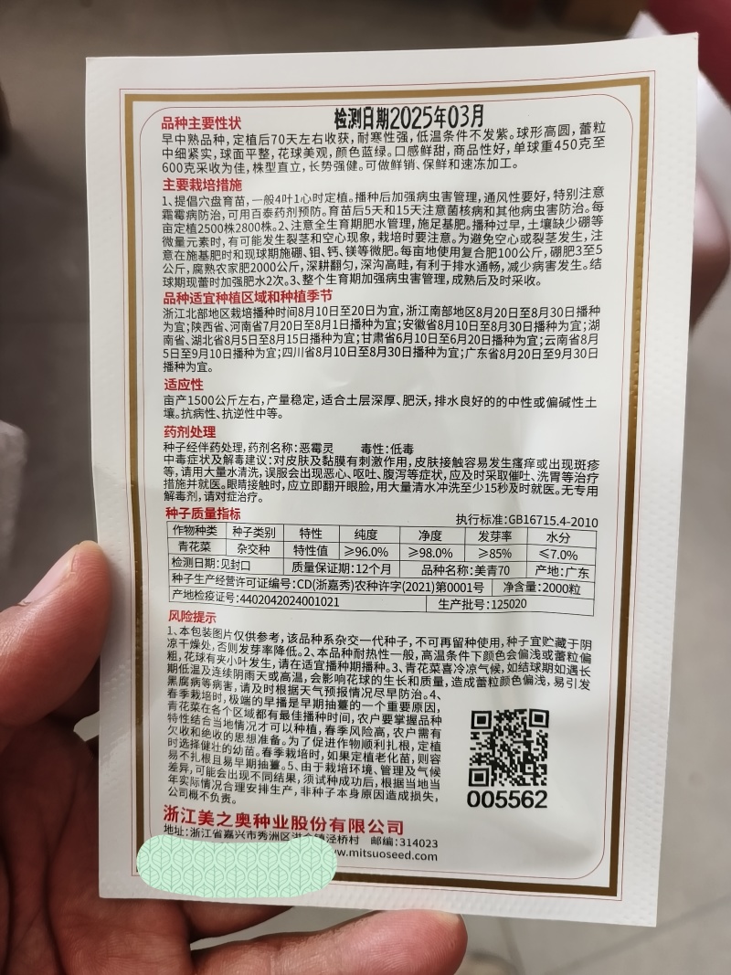 美青70西兰花种耐寒性强小米粒懒汉式管理，无需打岔产量高